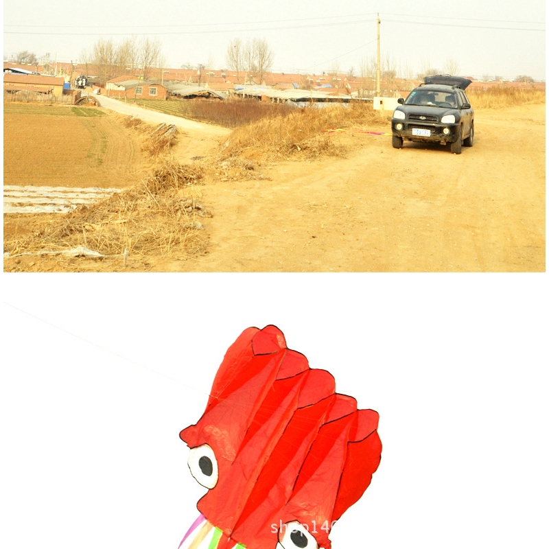 Diều thả hình bạch tuộc 3D độc đáo dây dài 4m