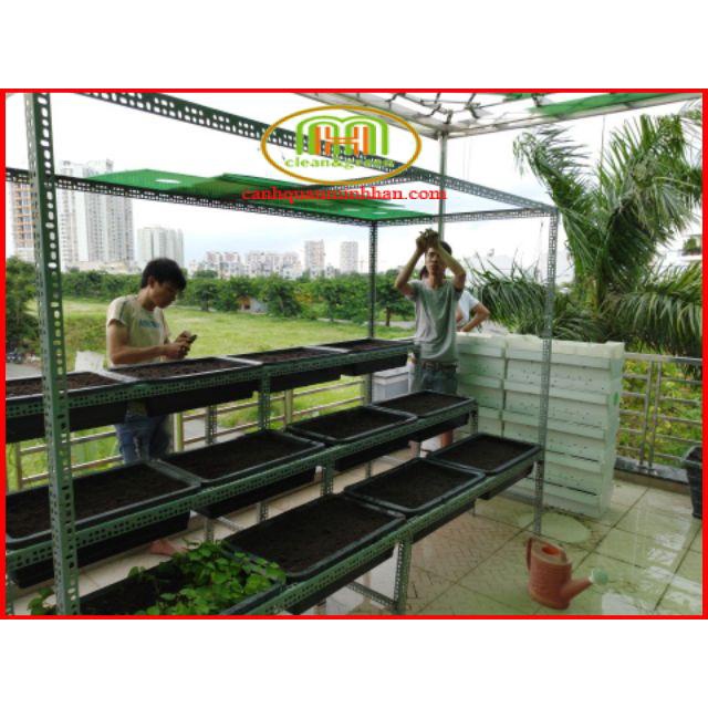 Chậu trồng rau thông minh không chảy nước ra sàn