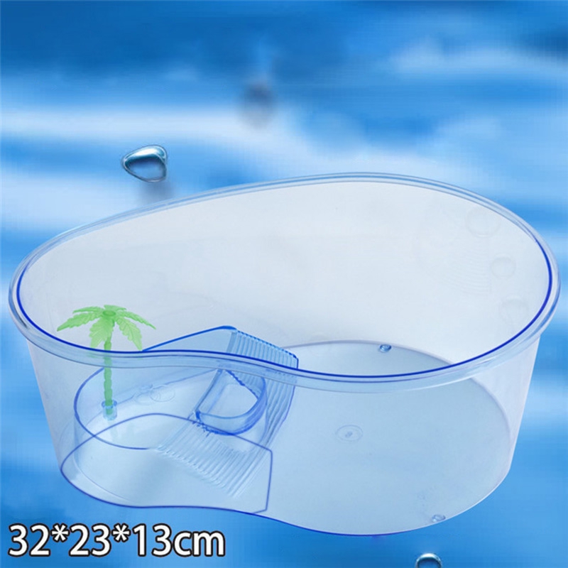 Bể rùa cảnh mini chất lượng