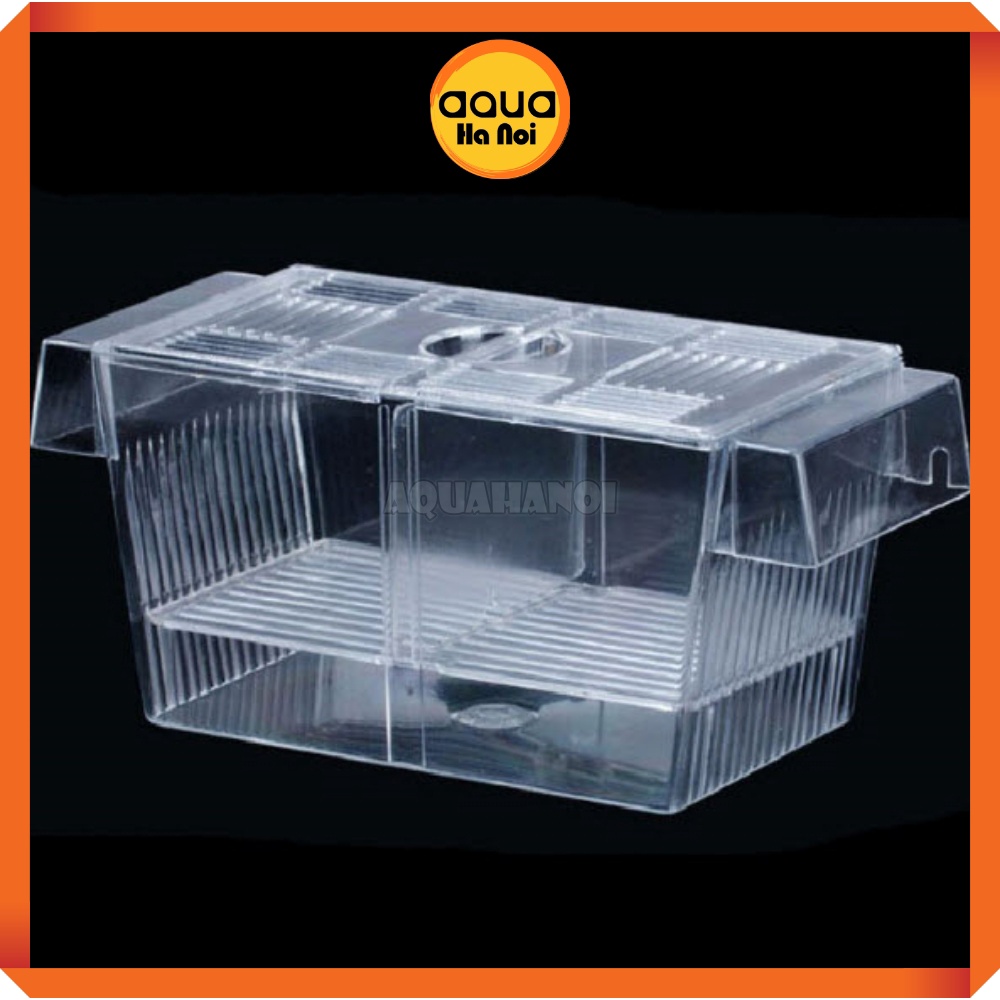 Lồng dưỡng cá tép đẻ mica - cỡ lớn 22*10*10 cm - lồng tách cá tép sinh sản - dưỡng cá bệnh - có 2 ngăn cách ly