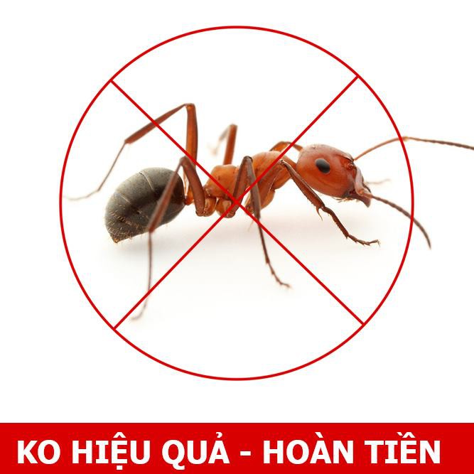 Thuốc diệt kiến gián tận gốc Ant Bio lọ 20ml - An toàn và hiệu quả