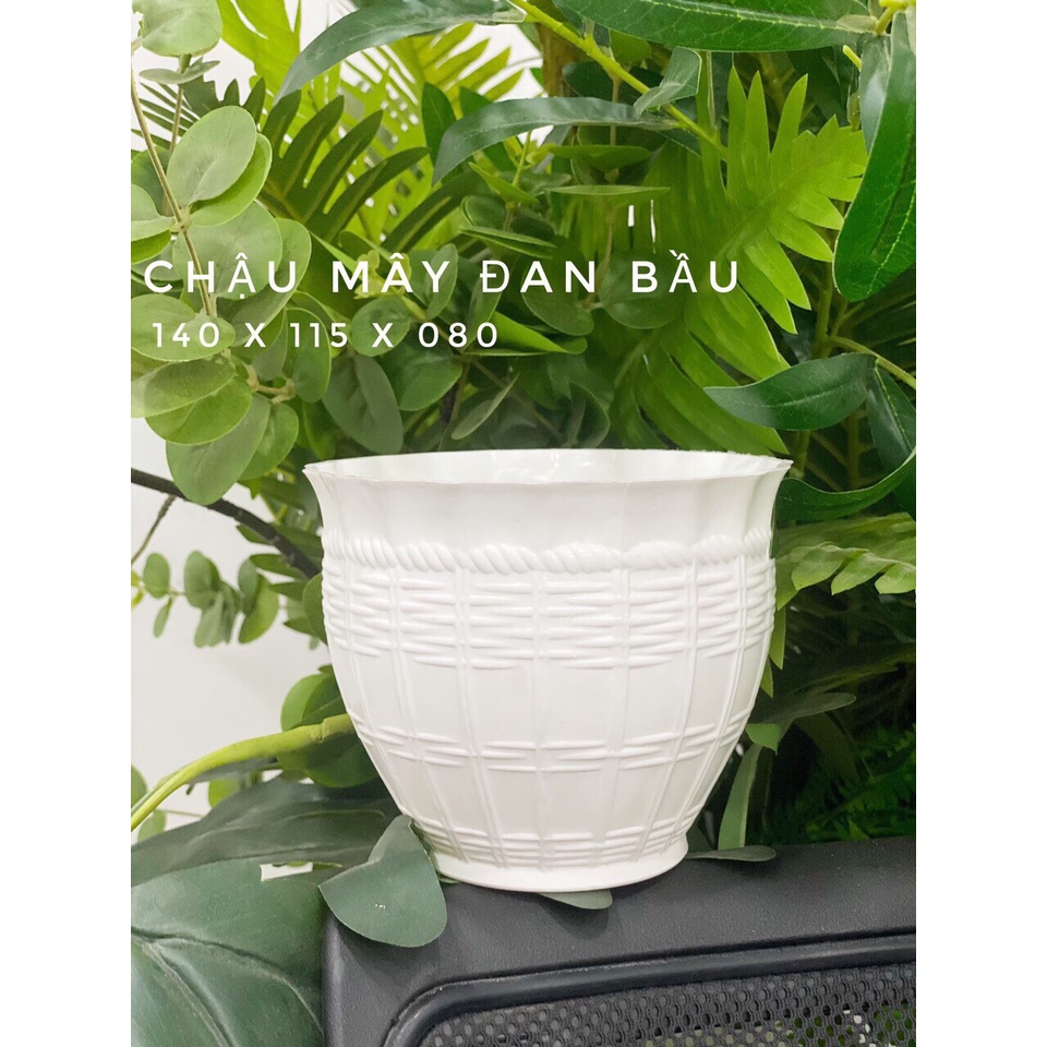 Chậu mini trồng cây để bàn Mây đan bầu - Trắng -