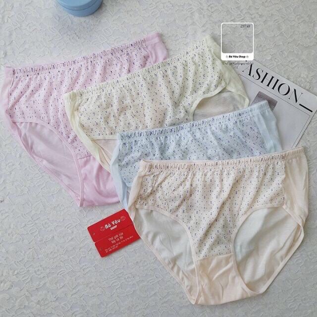 (748) combo 10 quần lót BIG SIZE chất cotton đông xuân siêu mát