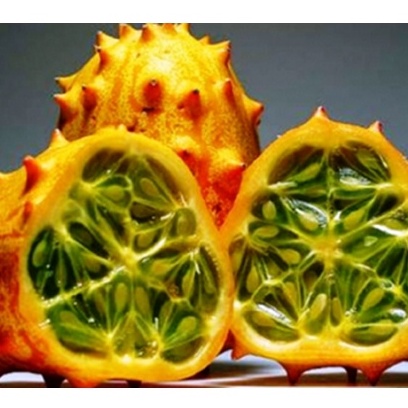 5h Hạt Giống Dưa Chuột Gai Chịu Nhiệt Kiwano (A2.203| C6*V43)