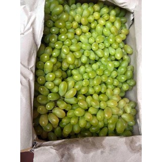 NHO KHÔ SẤY XANH 1KG KHÔNG HẠT CHUA NGỌT DỄ ĂN | BigBuy360 - bigbuy360.vn