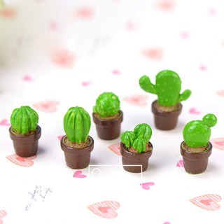 Chậu Xương Rồng Nhỏ - Phụ kiện trang trí cho cây xanh, mô hình trang trí tiểu cảnh terrarium