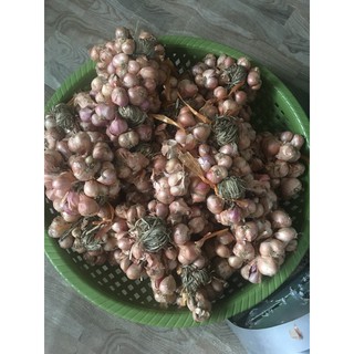 Hành ta phi thơm kinh môn 500g