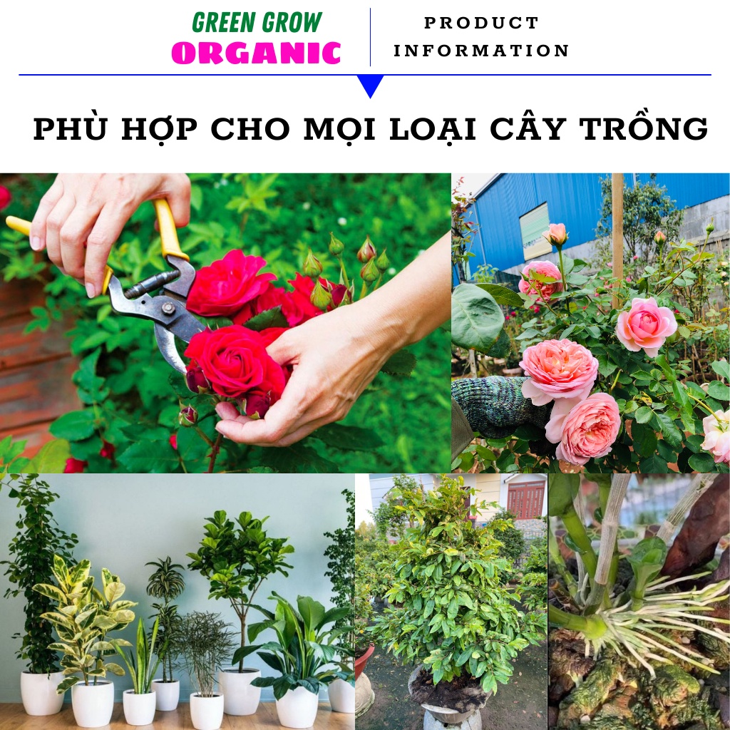 [Set 10 gói] Siêu kích rễ Take Root Trung Quốc Green Grow Organic, thuốc kích rễ cực mạnh phục hồi cây suy yếu