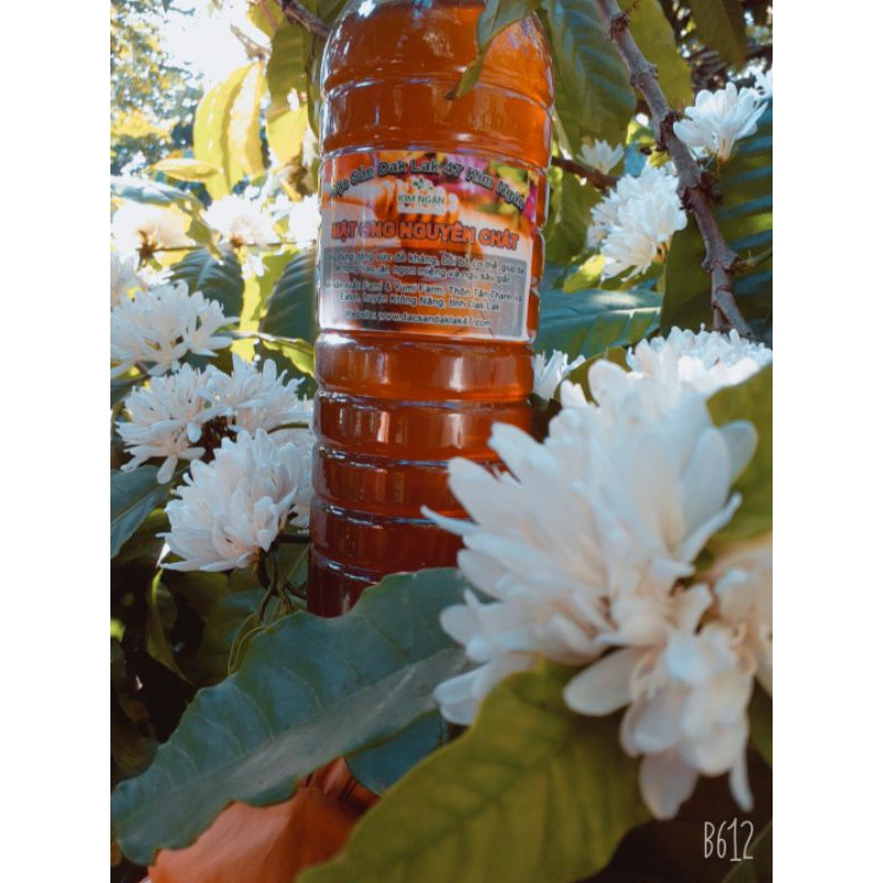 450g Mật ong cà phê nguyên chất Dak Lak - Mật ong thiên nhiên