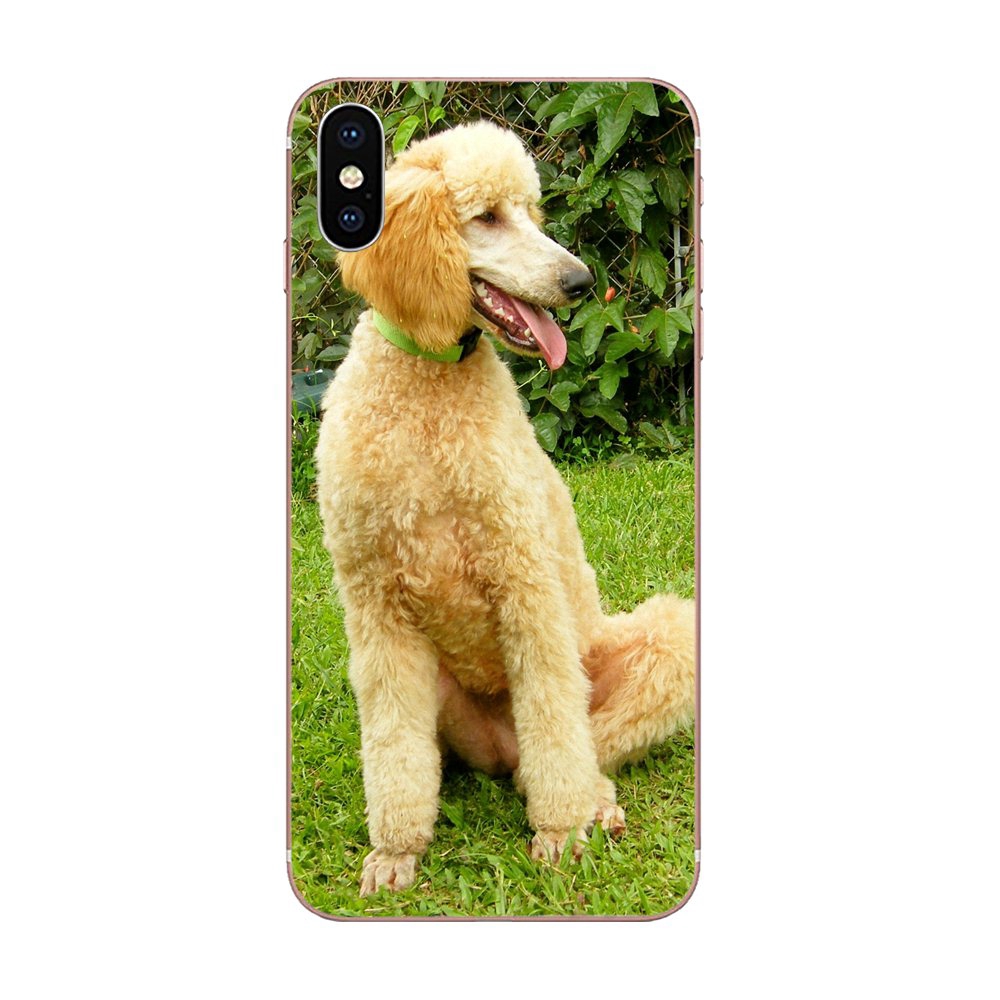 Lưng Ốp Điện Thoại Hình Chú Chó Poodle Cho Samsung Galaxy A10 A20 A20E A3 A40 A5 A50 A7 J3 J5 J6 J7 2016 2017 2018