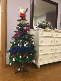 Cây thông noel