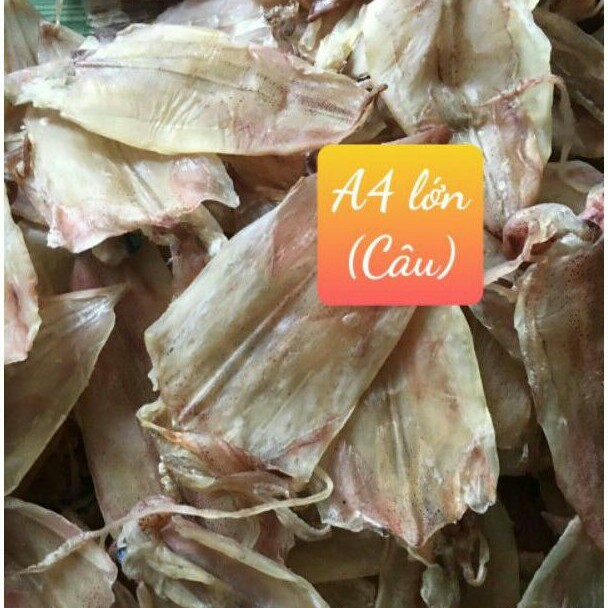 Mực Khô Câu size 60 con/kg Trắng Thơm Mềm Mới Chưa Lên Phấn - 500gr | BigBuy360 - bigbuy360.vn