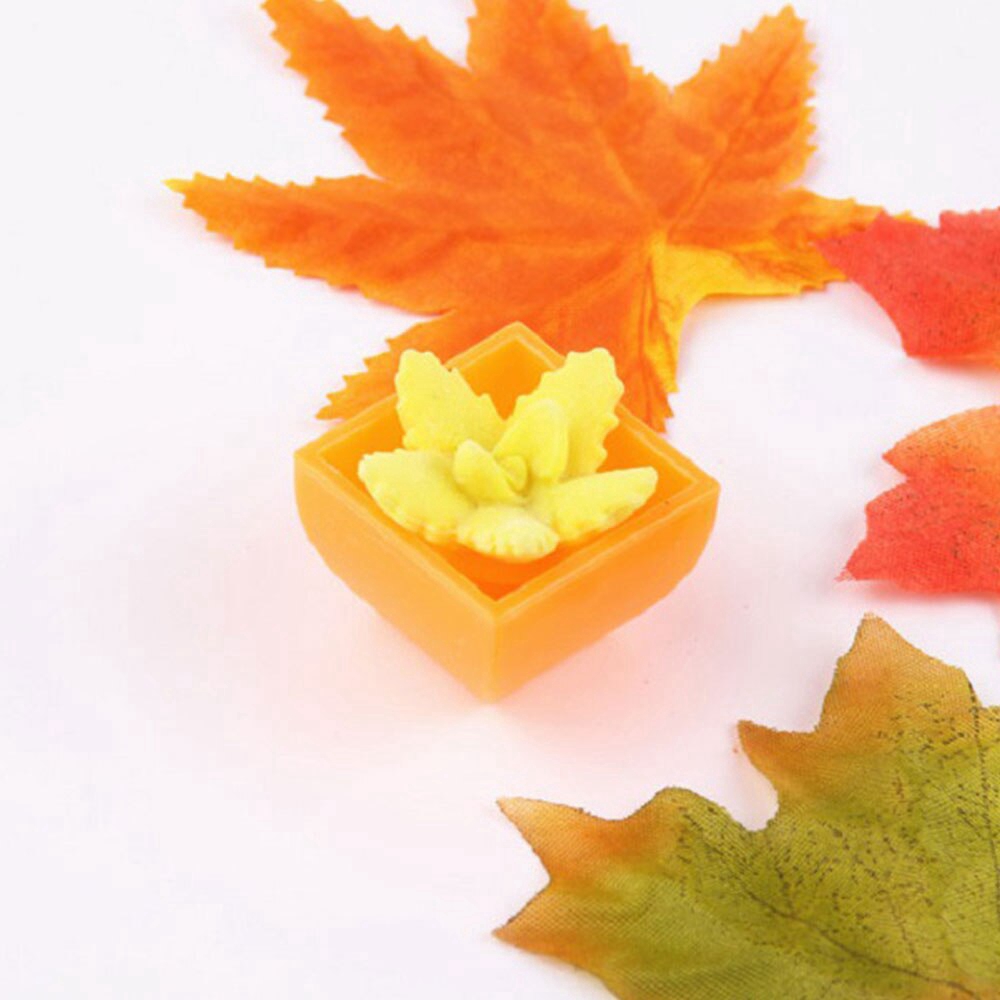 Đồ chơi xương rồng ngâm nước 48 mẫu đáng yêu