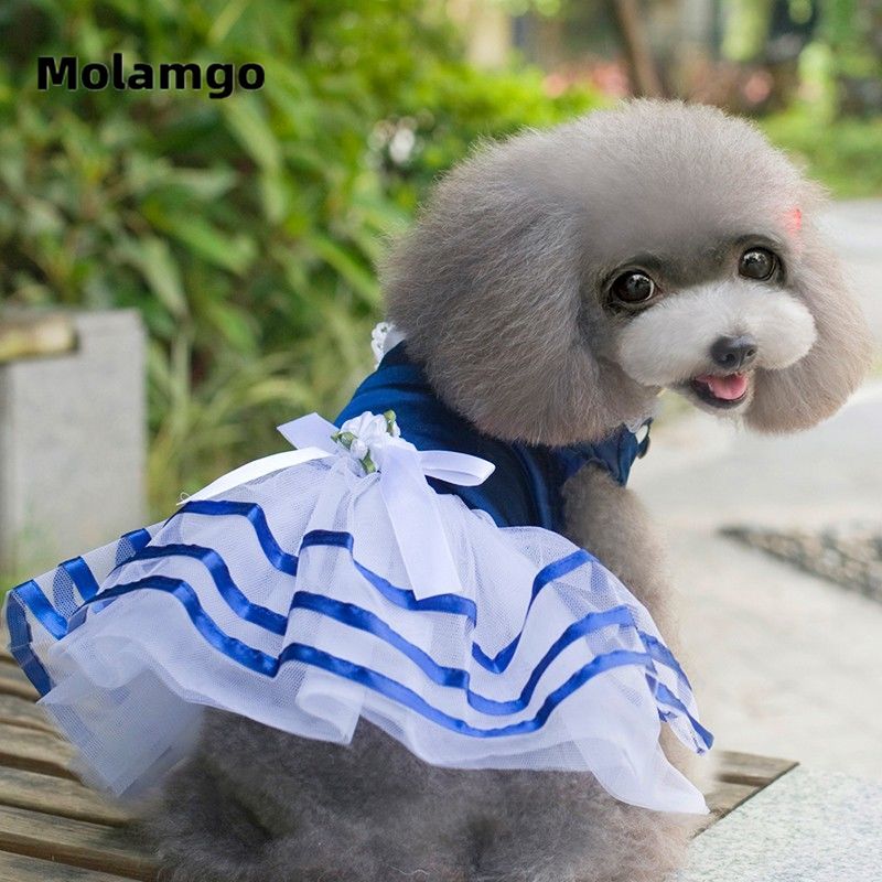 Bộ váy xinh xắn đáng yêu thời tran xuân thu cho thú cưng