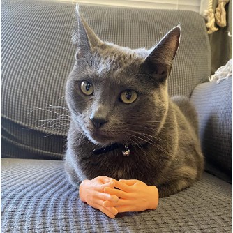 Đồ Chơi Bàn Tay Có Ngón Tay Vui Nhộn Sáng Tạo Cho Mèo Cưng