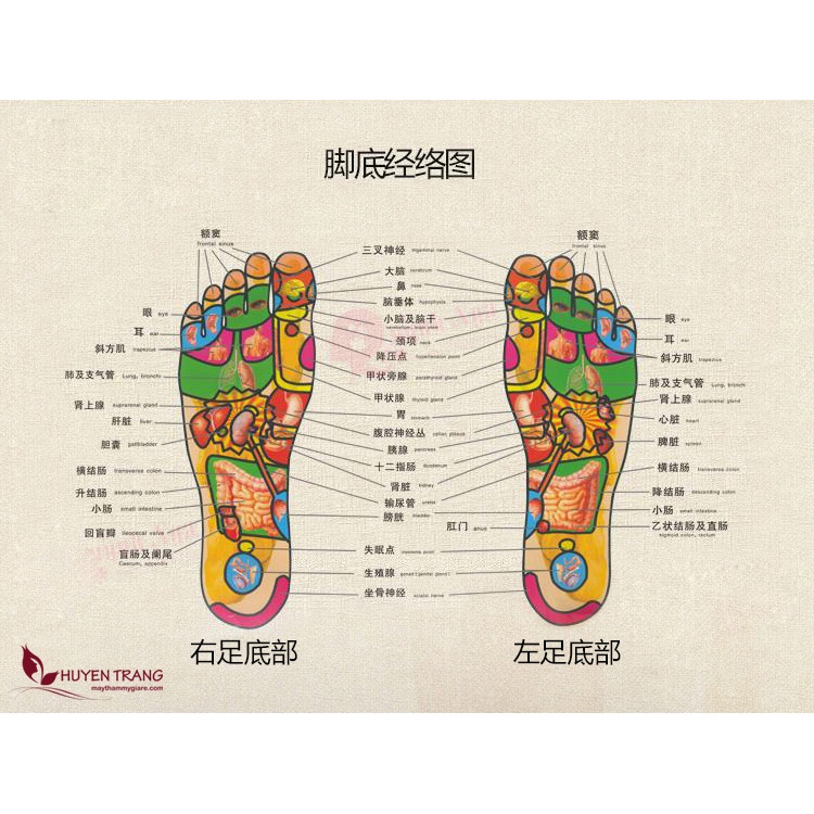 Chậu Gỗ Ngâm Chân Cao Cấp Chuyên Dùng Trong Tiệm Nail, Spa Đông Y, Thẩm Mỹ Viện Huyền Trang NANOCEE