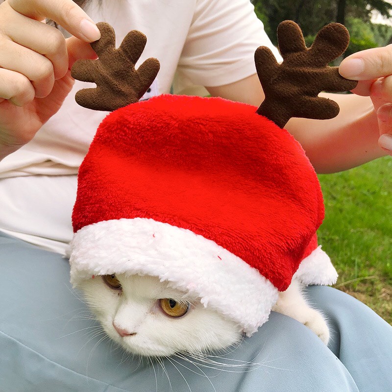 Áo Giáng Sinh-Noel cho Chó Mèo, ấm áp mùa Noel - Áo Giáng sinh thú cưng