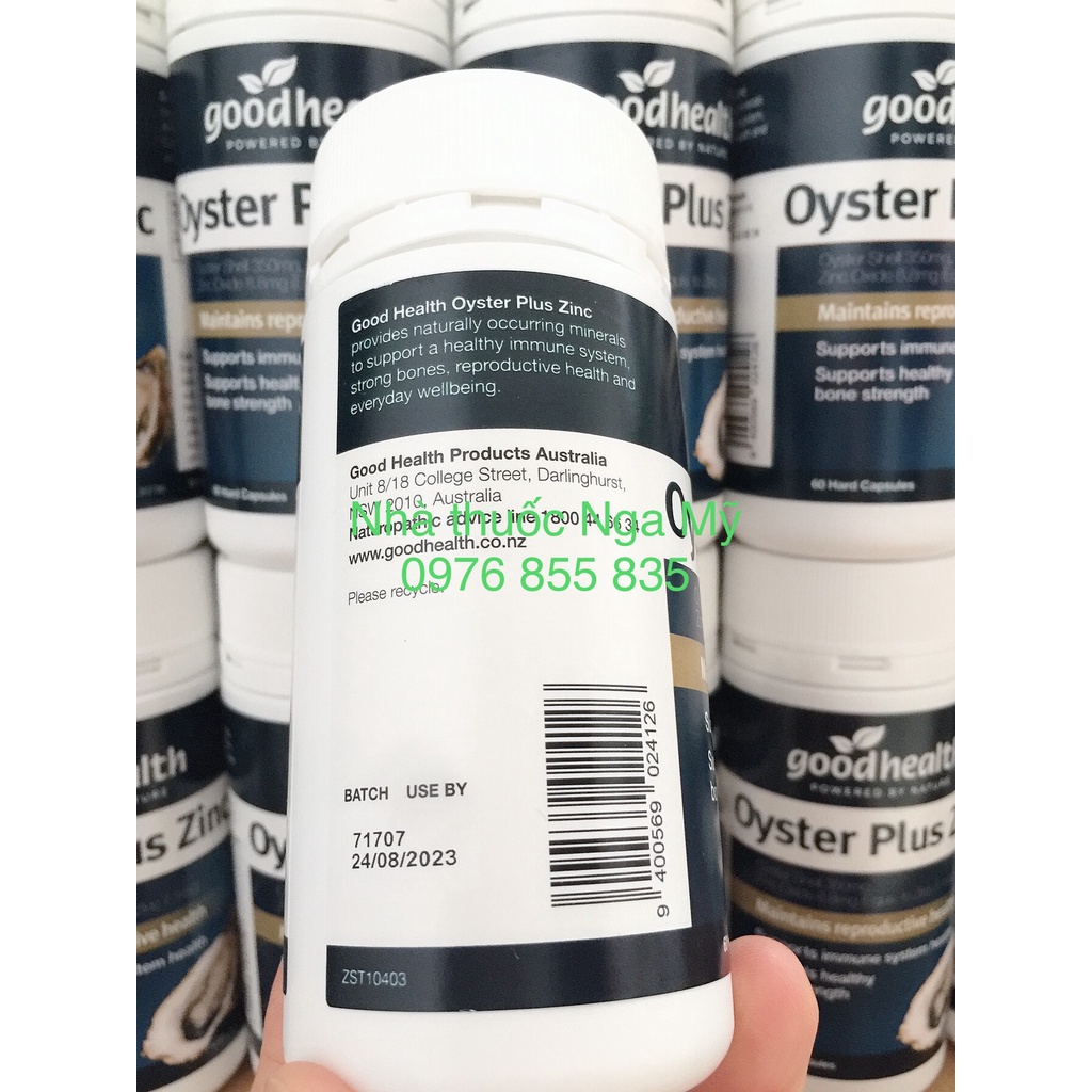 Hàu good healthy 60v