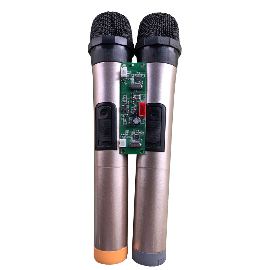 Micro không dây kèm Bore mạch dành cho loa kéo