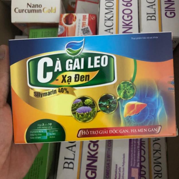 Cà Gai Leo Xạ Đen Bổ gan, bảo vệ tế bào gan, giải độc gan, thanh nhiệt cơ thể, hạn chế tổn thương tế bào gan Hộp 30v | BigBuy360 - bigbuy360.vn