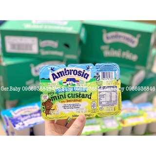 Váng sữa Ambrosia custard - Gerbaby