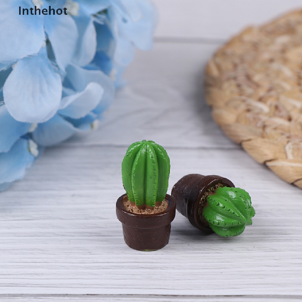 Bộ 5 Cây Xương Rồng mini Bằng Nhựa Trang Trí Nhà Cửa