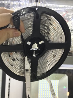 Led cuộn nháy đuổi 12v