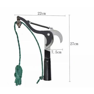 Đầu kéo cắt cảnh tỉa cành cây hái hoa quả trên cao tiện dụng