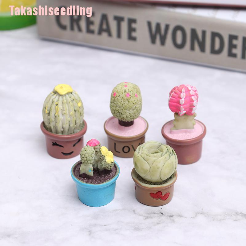 Bộ 5 chậu cây mini dễ thương trang trí nhà cửa
