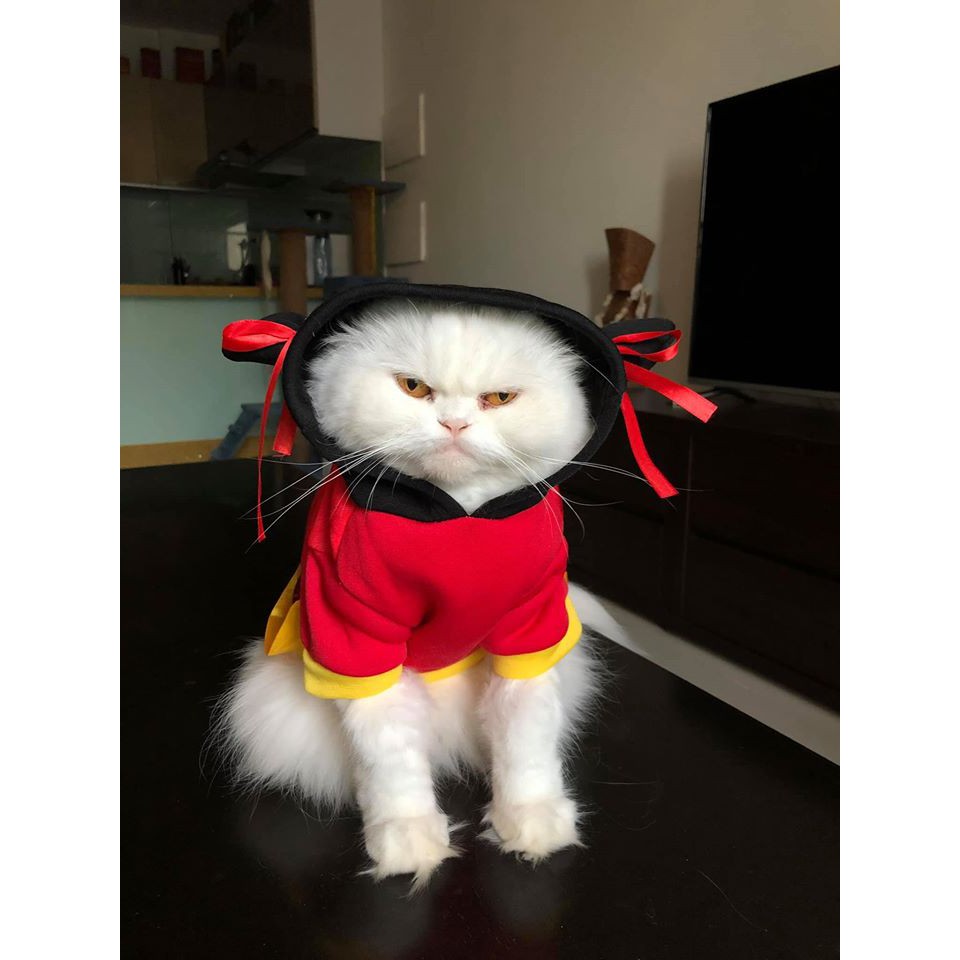 Áo chó mèo ngộ nghĩnh có mũ