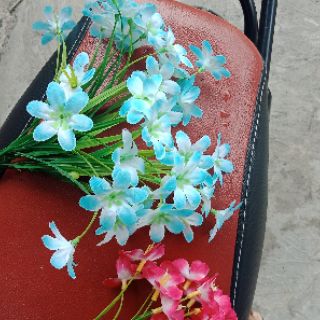 Cụm hoa thuỷ tiên