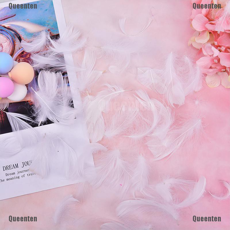 Bộ 100 Lông Vũ Nhiều Màu Sắc Dùng Làm Quà Tặng
