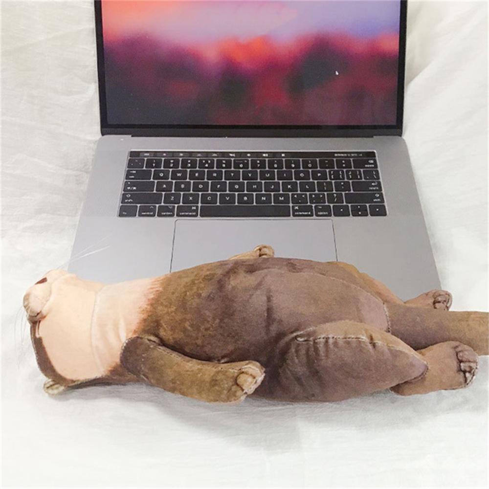 PEWANY Hộp Bút Nhồi Bông Otter Dành Cho Trẻ Em