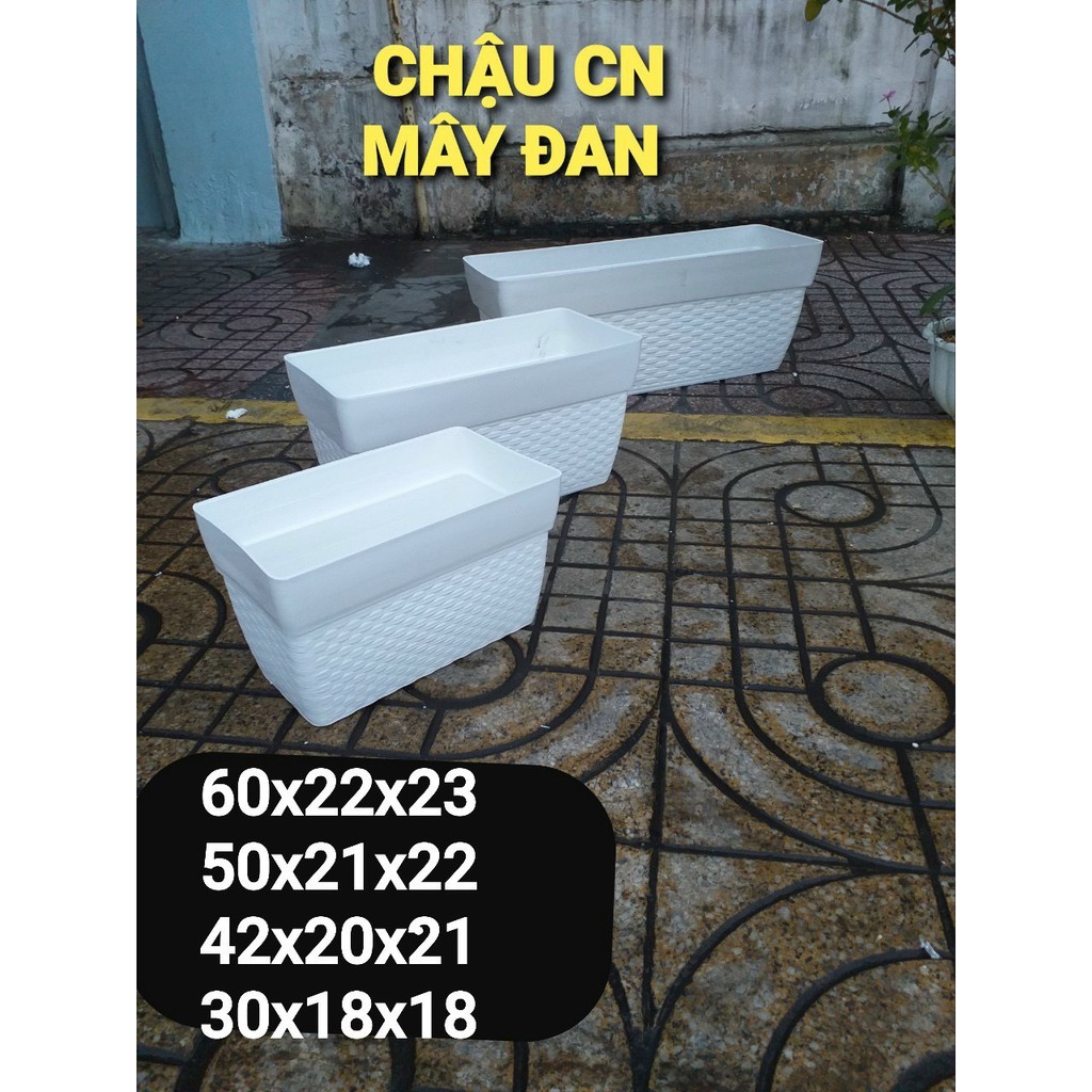 Chậu nhựa mây đan chữ nhật 500