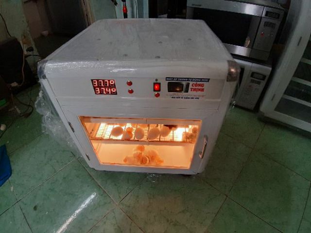 MÁY ẤP TRỨNG TỰ ĐỘNG MINI CÔNG THỊNH