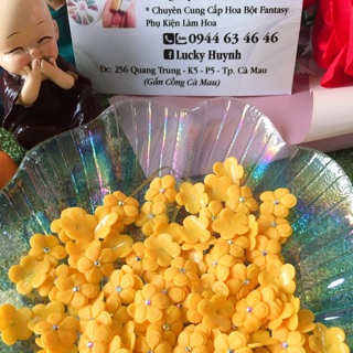 Hoa mai 2 tầng ( nail)
