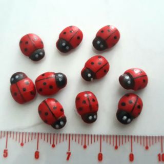 10 con bọ nhỏ xinh trang trí tiểu cảnh, chậu cây mini