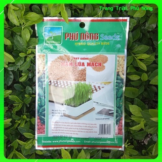 Hạt Giống Mầm Lúa Mạch Phú Nông - Gói 100g