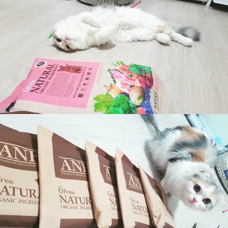 Hạt ANF 6Free Organic INDOOR cho mèo 🐈
