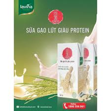 Set 12 hộp Sữa Gạo Lứt Giàu PROTEIN