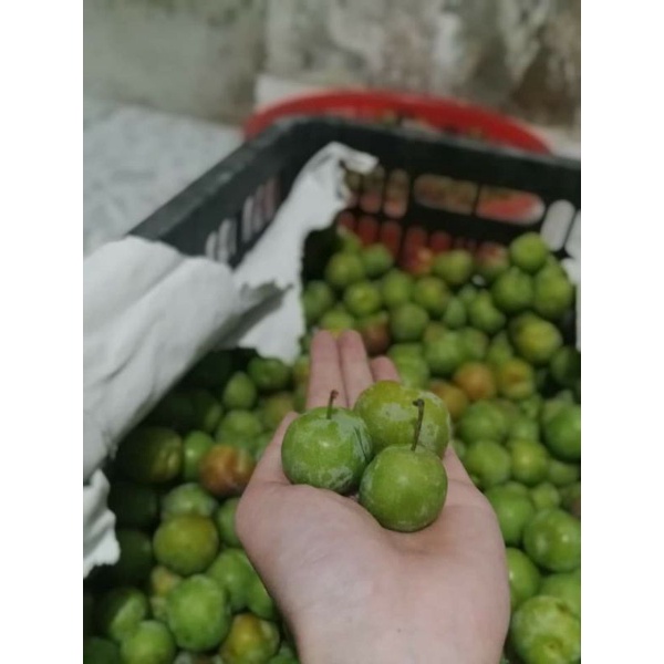 MẬN HẬU (VƯỜN SƠN LA) | BigBuy360 - bigbuy360.vn