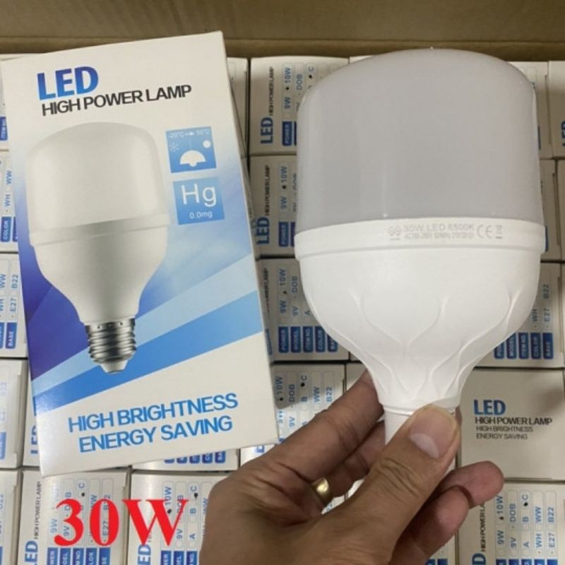 Bóng đèn búp HG 30w
