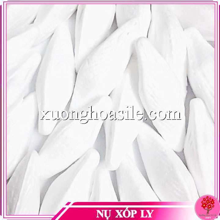 NỤ XỐP HOA LY.