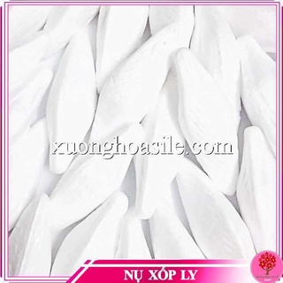 NỤ XỐP HOA LY.