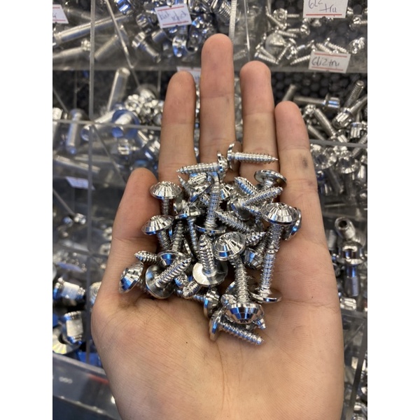 Ốc Salaya INOX304 size 4-5-6-8li xoắn - nhuyễn bắt dàn áo - đĩa