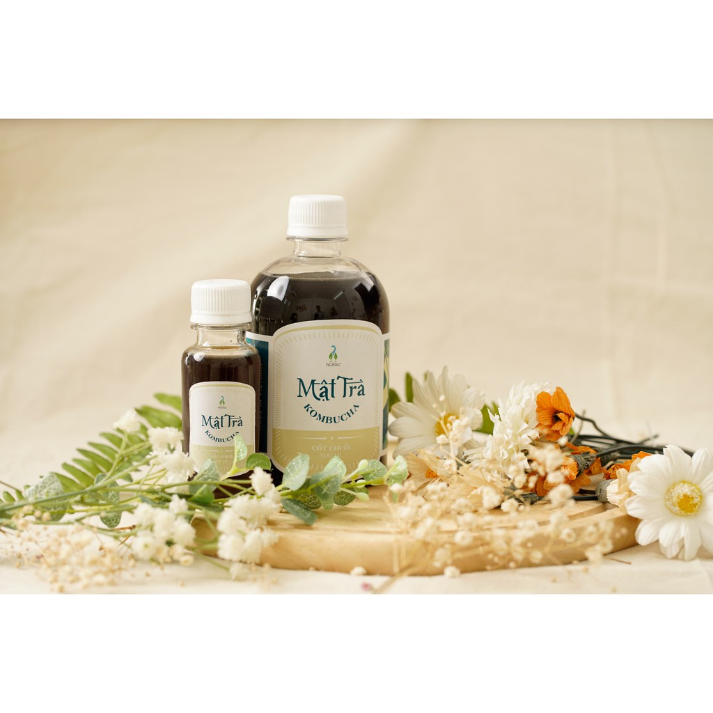 (MUA 3 TẶNG 1) Mật trà Kombucha cốt chuối 500ml | BigBuy360 - bigbuy360.vn
