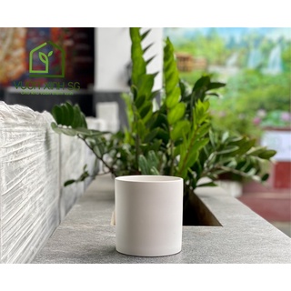 Chậu gốm sứ men mờ - Trụ tròn