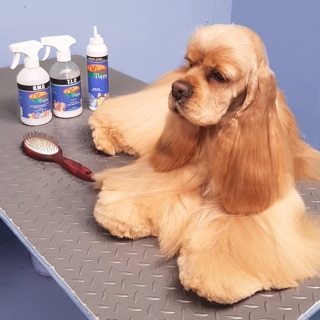SỮA TẮM PLUSH PUPPY 500ml