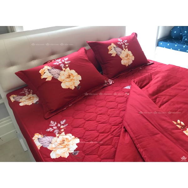 Bộ ga gối Sông Hồng Basic cotton BC22064
