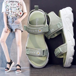 SANDAL HOA CÚC